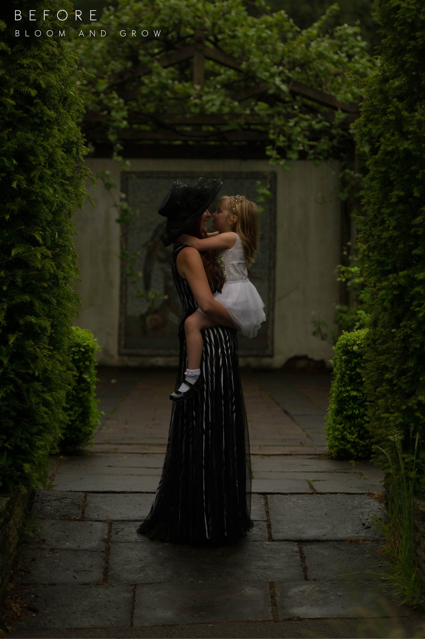 lightroom preset