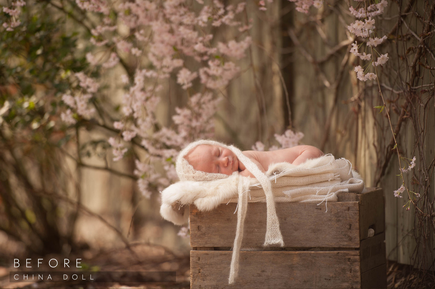 lightroom preset